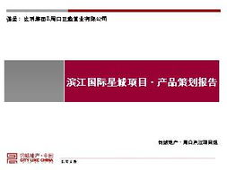 河南周口滨江国际星城项目市场营销策划报告