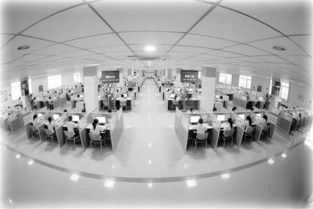 永川 全力构建智慧城市产业生态圈，软件外包服务成为新引擎