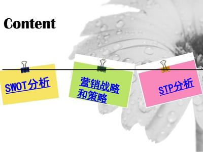 欧琳橱柜营销策划方案